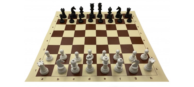 Σχολικό σκακιστικό υλικό