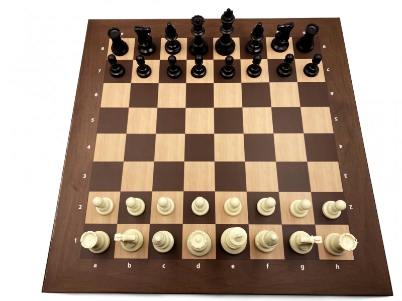 Σκακιέρα  ξύλινη τυπώμένη 50 Χ 50 εκ + πιόνια πλαστικά με ύψος βασιλιά 9.5 χωρίς βάρος και 2 πουγκιά φύλαξης